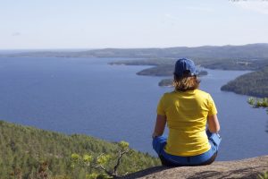 Widok na wysokie Wysokie Wybrzeże w Szwecji