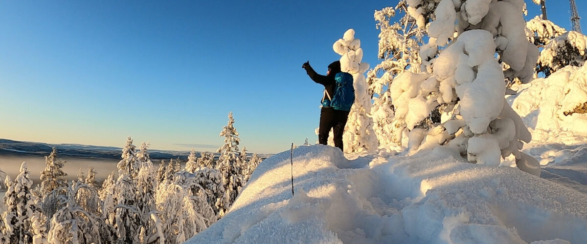 Widok w zimowej scenerii. Szwecja.