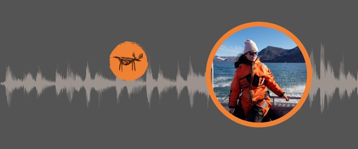 hornsund-svalbard-losiologia