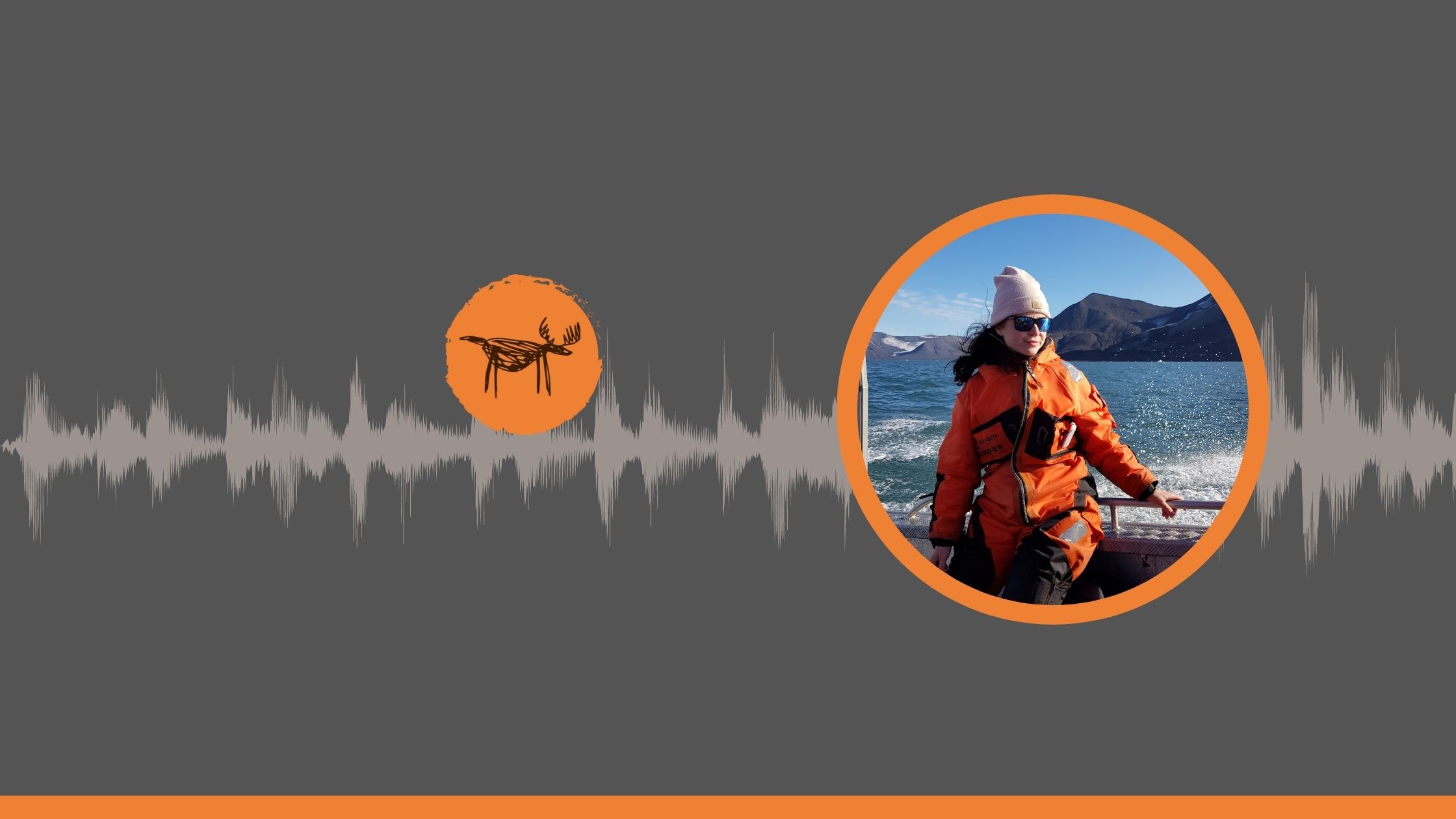 hornsund-svalbard-losiologia