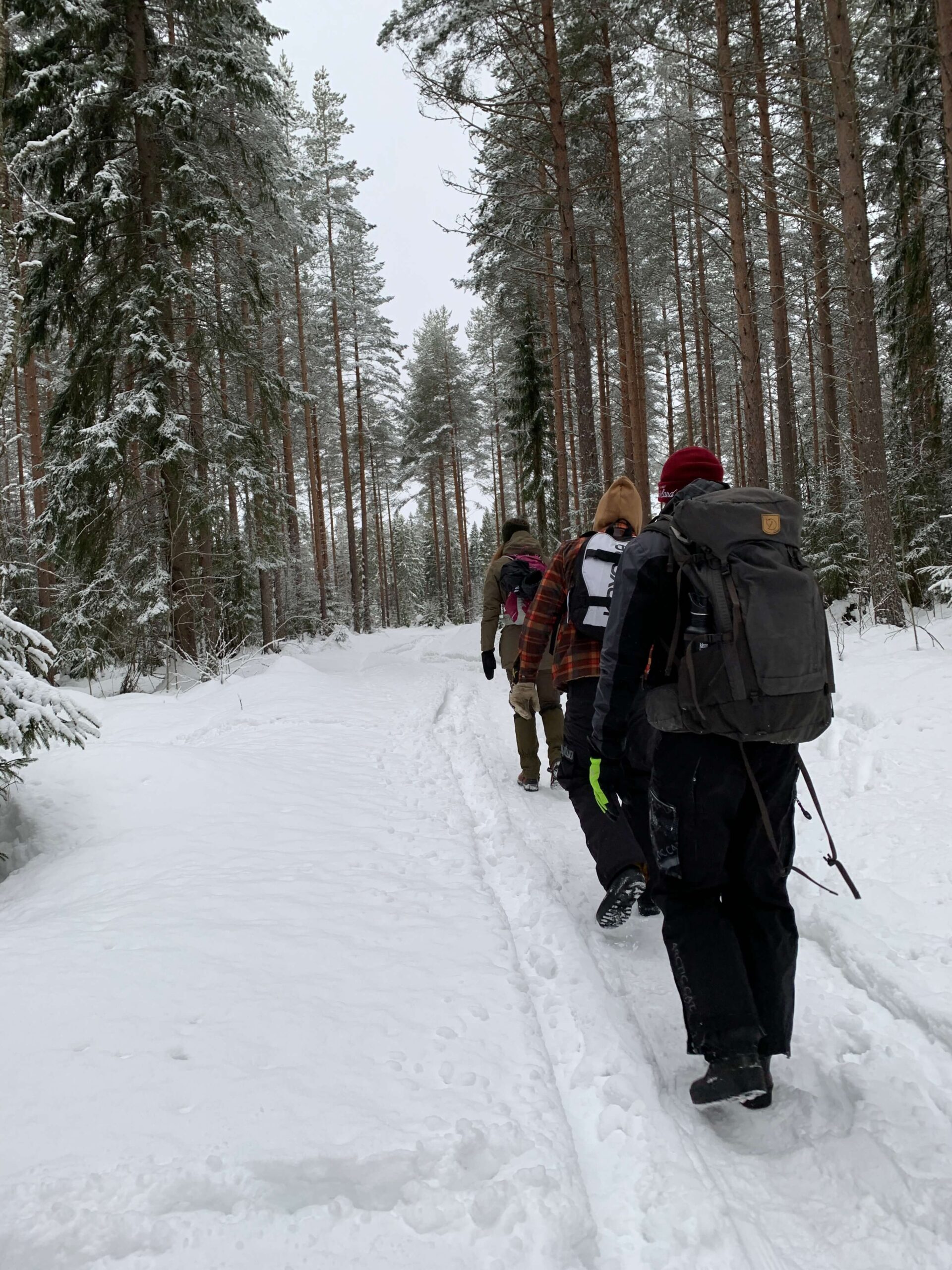 Zimowy spacer na Wysokim Wybrzeżu w Szwecji