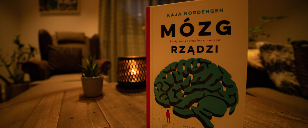 Okładka książki mózg rządzi