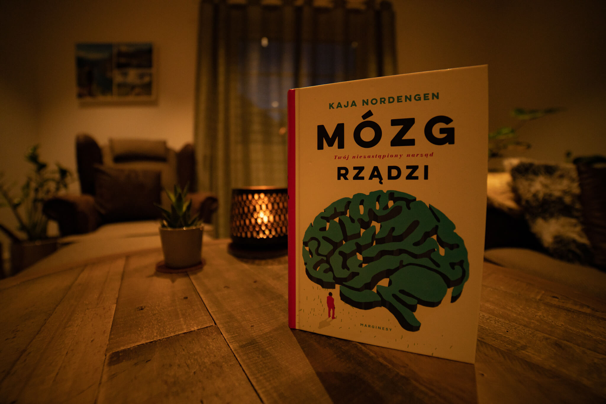 Okładka książki mózg rządzi