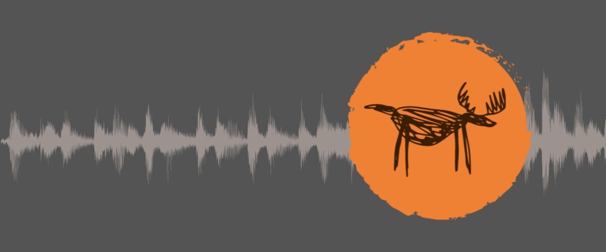 Łosiologia od kuchni.