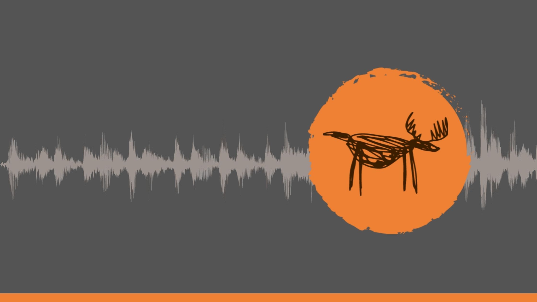 Łosiologia od kuchni.