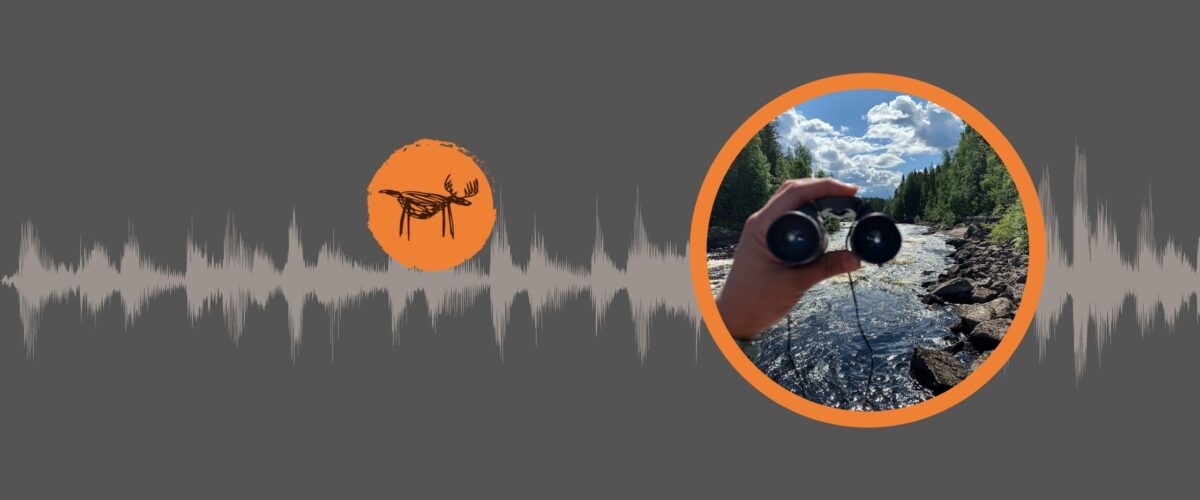 Okładka odcinka podcastu Łosiologia.