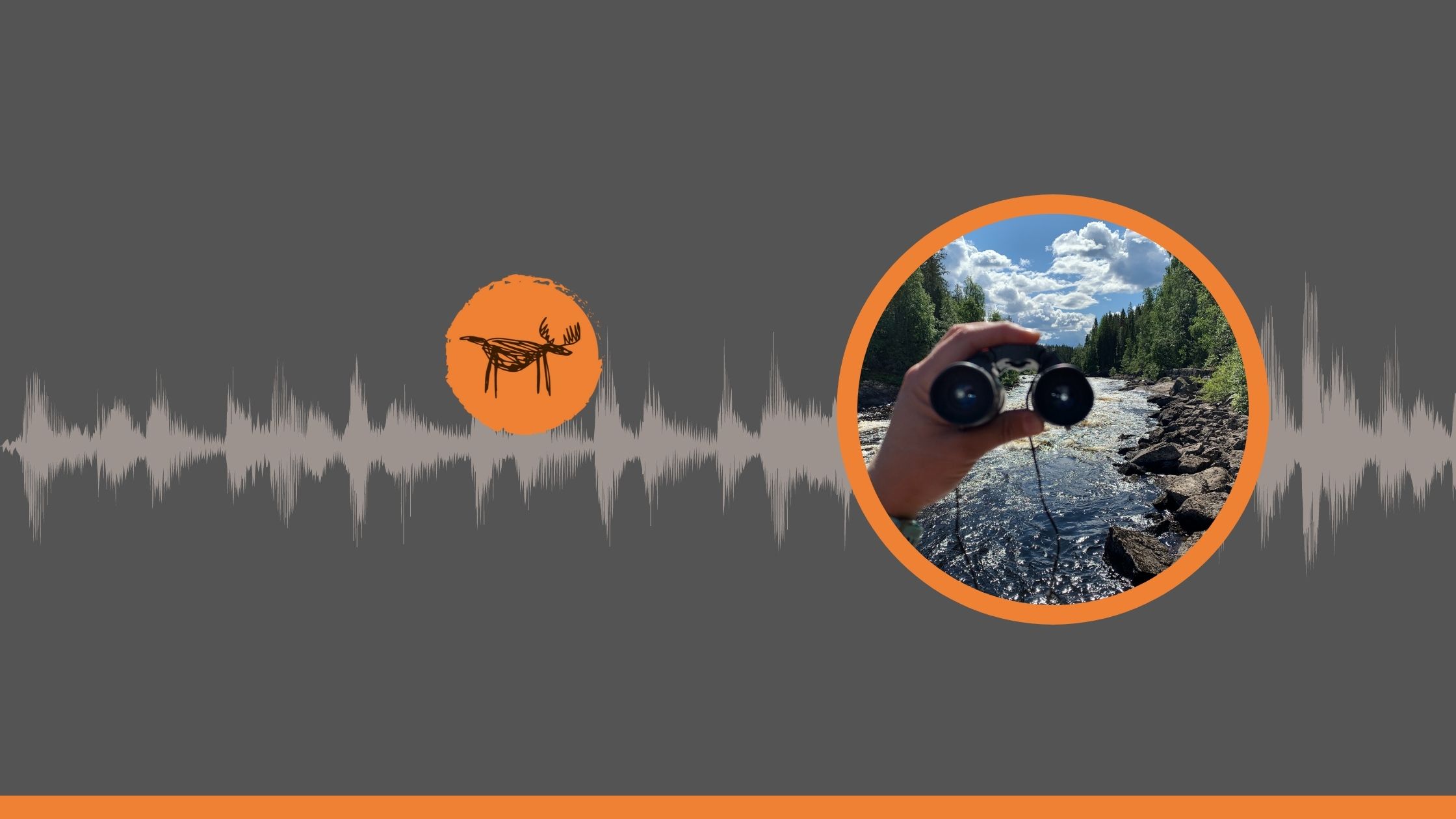 Okładka odcinka podcastu Łosiologia.