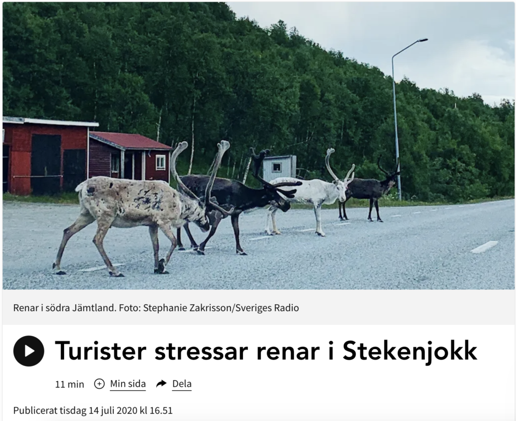 Screen ze strony Sveriges Radio