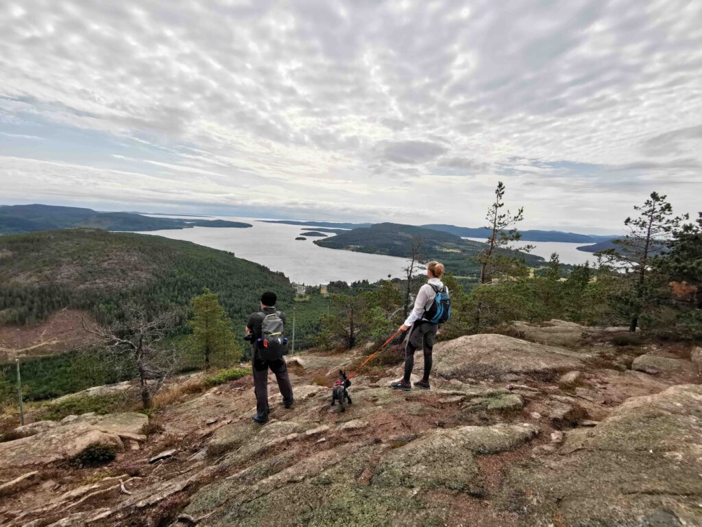 Widok na Wysokie Wybrzeże z góry Skuleberget.