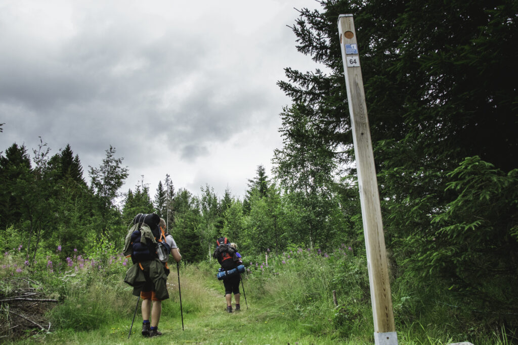 Szlakiem Wysokiego Wybrzeża w Szwecji